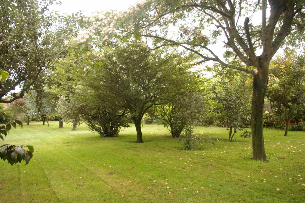 Vivienda Tradicional Con Jardin Y Patio Interior Villa Villanueva De Arosa Buitenkant foto